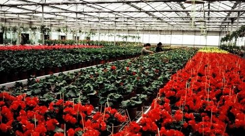 BJL平台_《星球大战:战争前线2》成今年E3最受欢迎游戏(图2) BJL平台集团