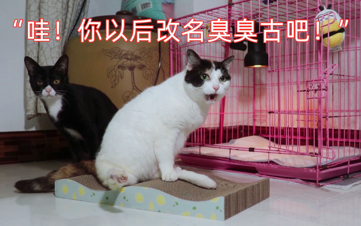 BJL平台集团_备受好评的解密游戏《一次机会》正在Steam打折发售(图2) BJL平台集团