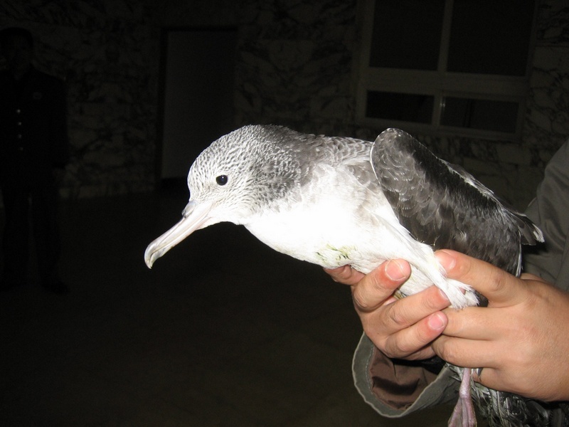 BJL平台集团:
为什么那么多企业选择微信代运营?(图4) BJL平台集团